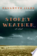 Stormy_weather__a_novel